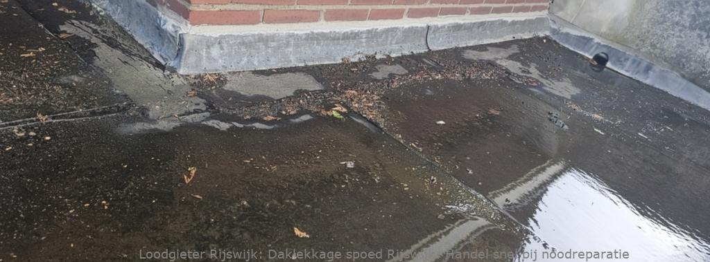 Daklekkage Spoed Rijswijk