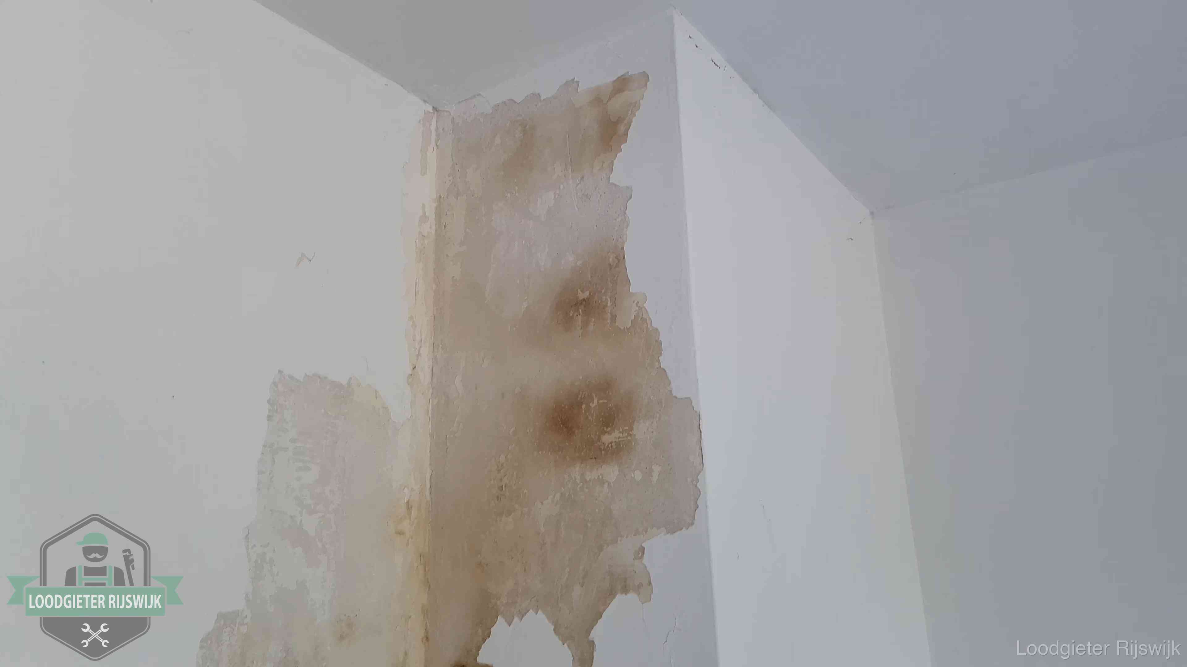 Daklekkage herkennen in Rijswijk Bruine vochtkringen en afbladderend stucwerk op een binnenmuur in Rijswijk, een eerste teken van daklekkage