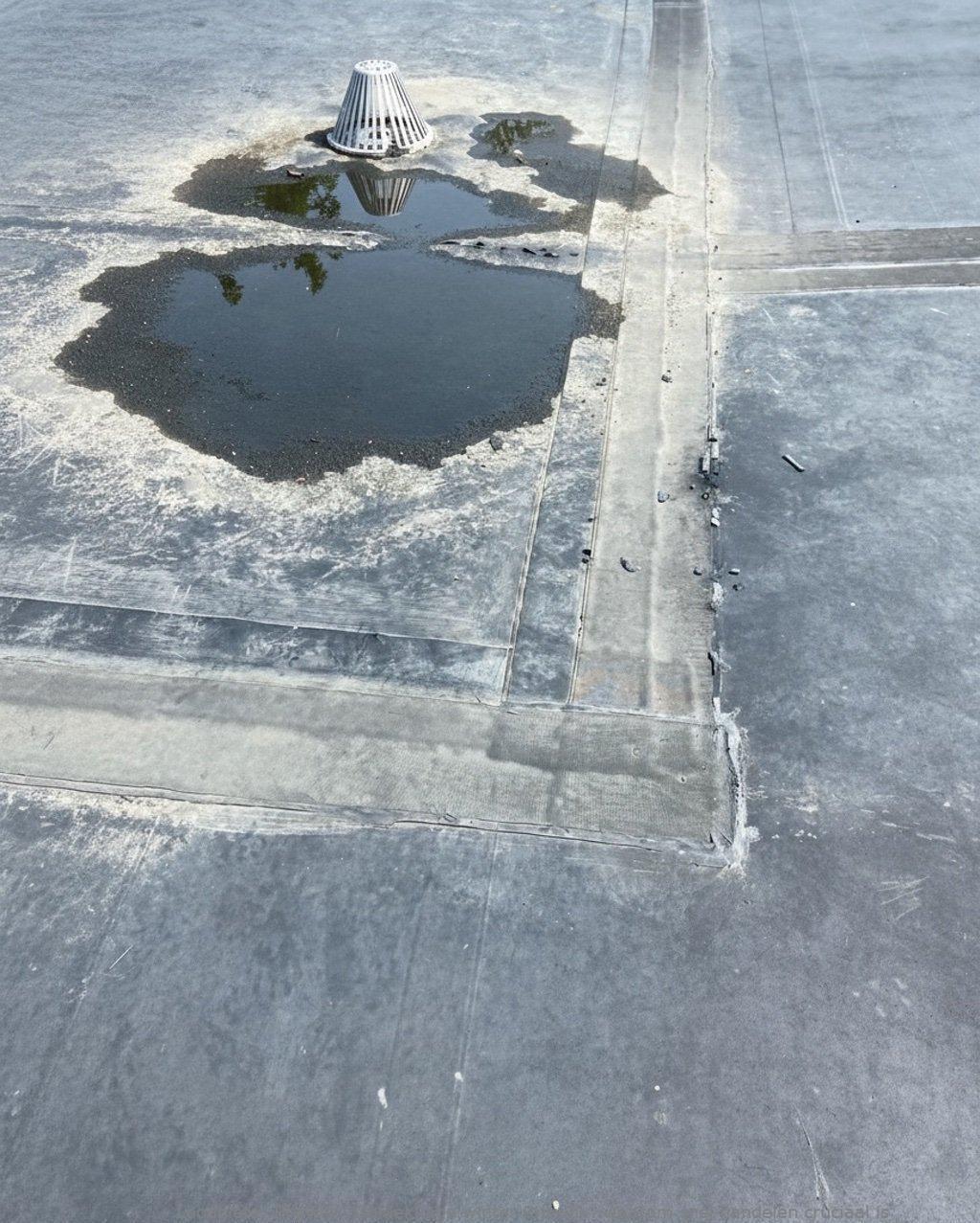 Daklekkage Winter Rijswijk