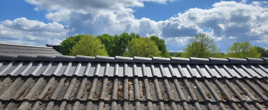 Kosten Dakreparaties Rijswijk