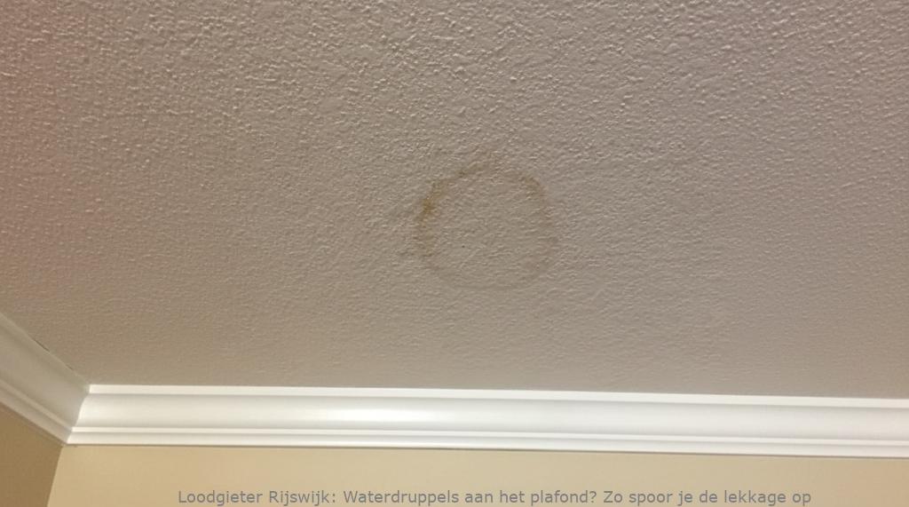 Lekkage Plafond Rijswijk