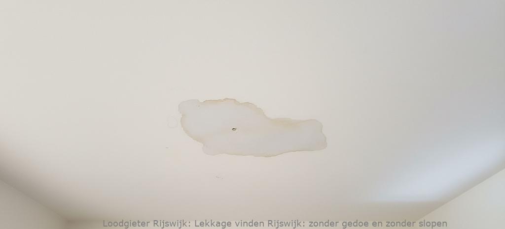 Lekkage Vinden Rijswijk