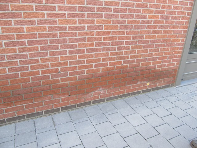 Opsporen Lekkage Muur