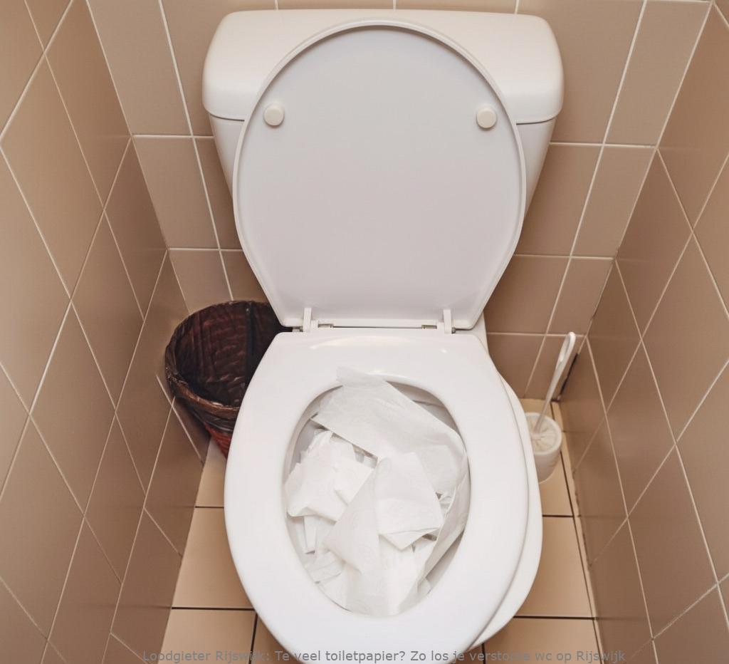 Te Veel Toiletpapier Oplossing Rijswijk