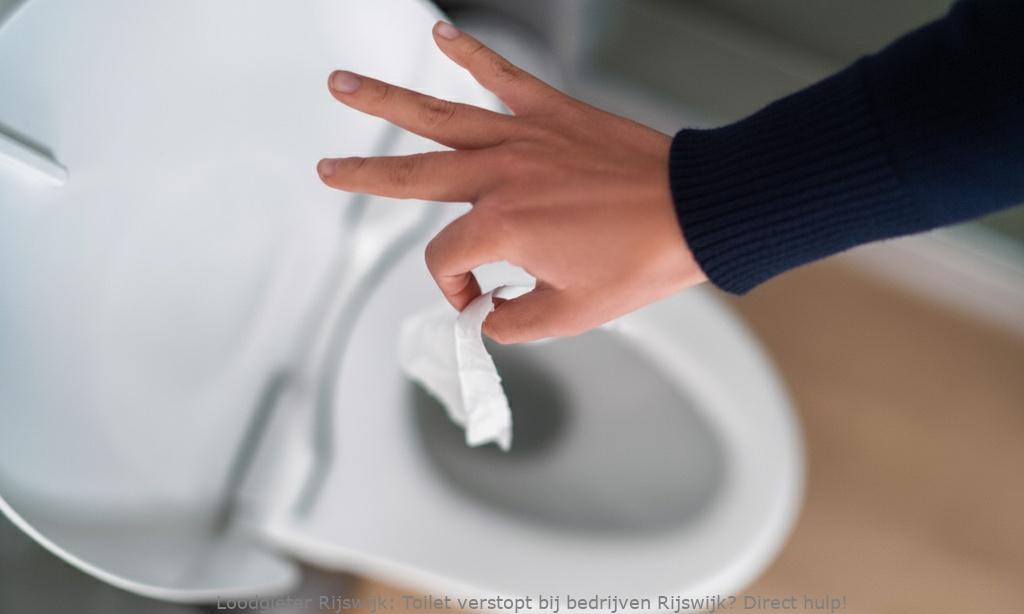 Toilet Verstopt Bedrijven Rijswijk