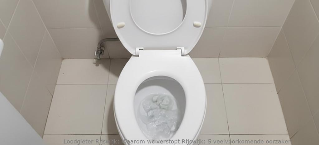 Waarom Wc Verstopt Rijswijk