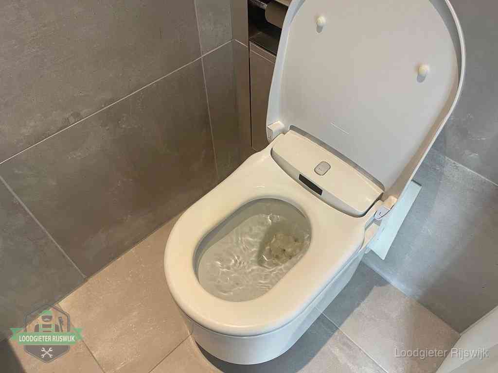 Wc Verstopt In Rijswijk